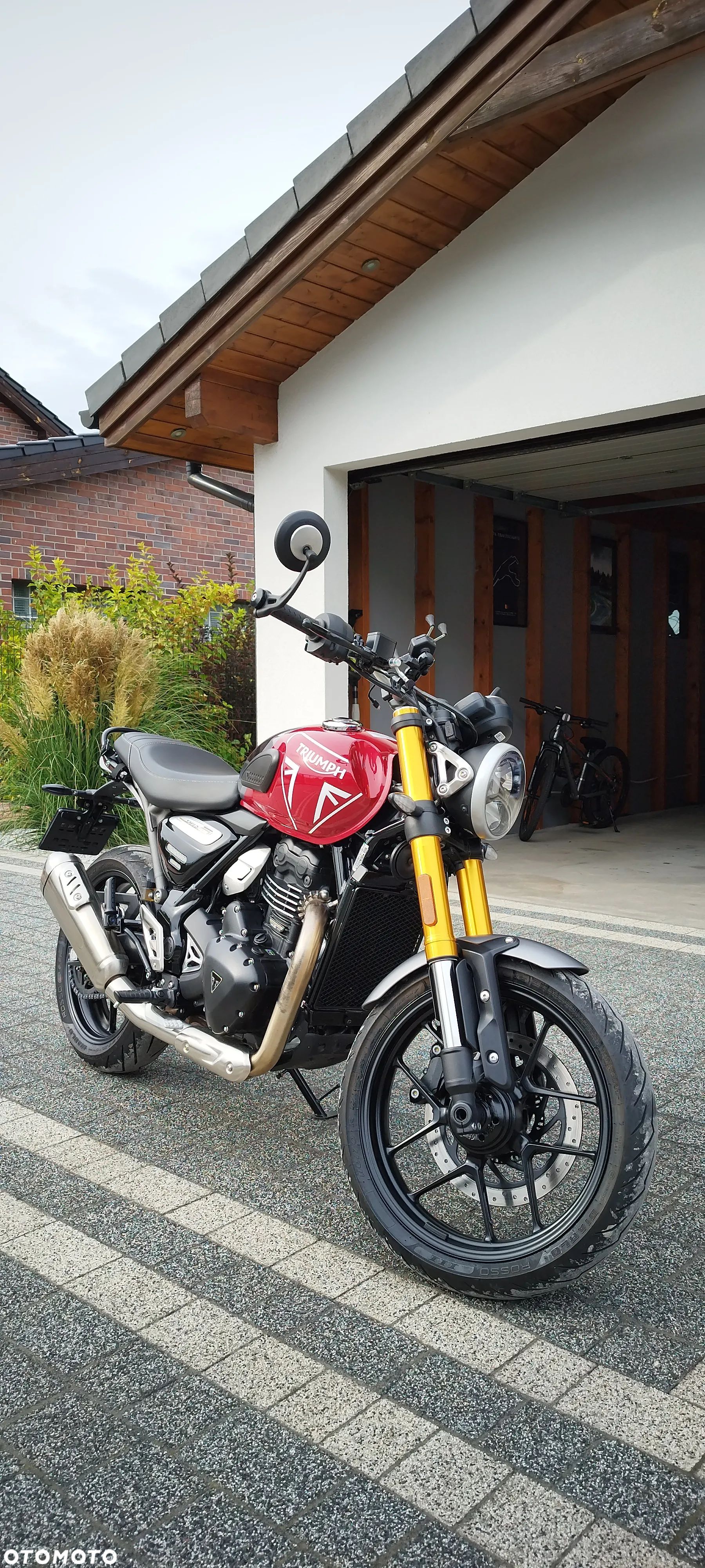 Triumph Inny - 1