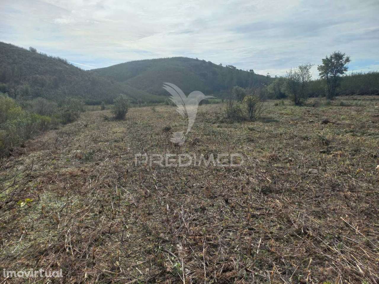 Terreno Rústico de cerca de 28ha para arrendamento - Grande imagem: 2/5