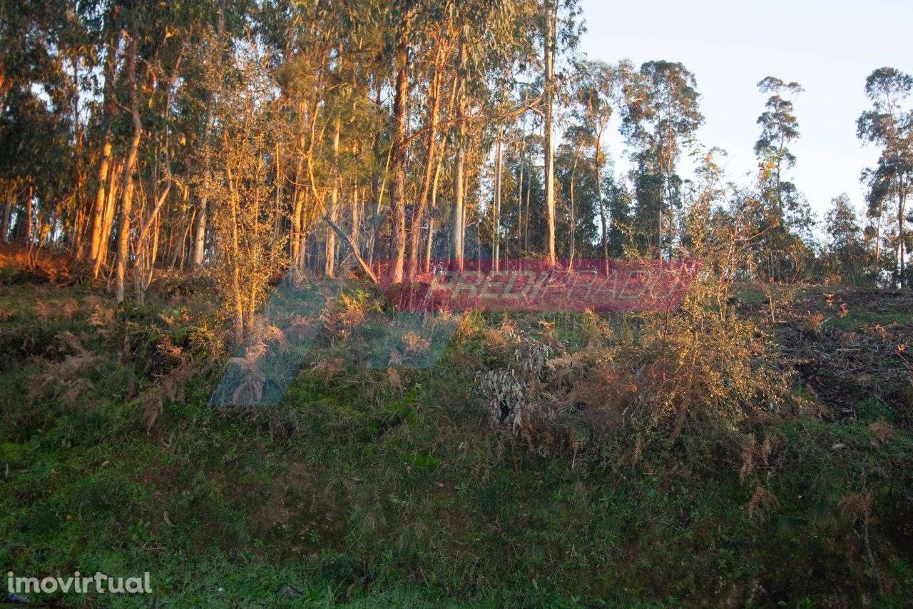 Excelente Terreno em Marrancos, Vila Verde! - Grande imagem: 4/4