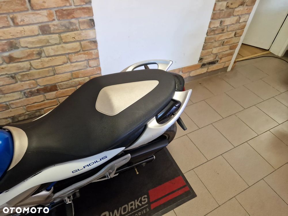 Suzuki Gladius - 10