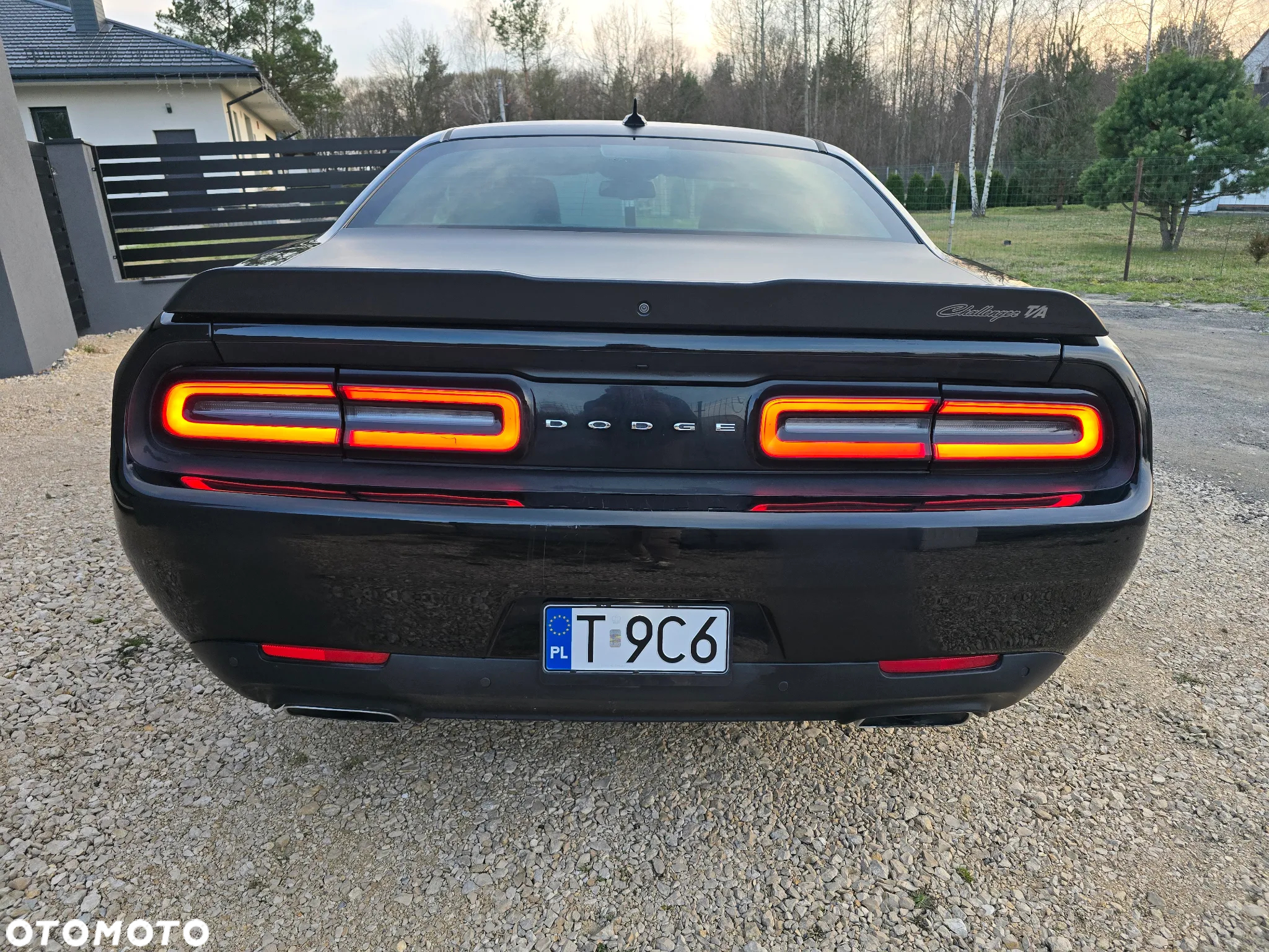 Dodge Challenger 6.4 Scat Pack T/A - 8