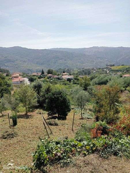 Terreno em Enxames, Santa Cruz do Douro - Grande imagem: 2/6