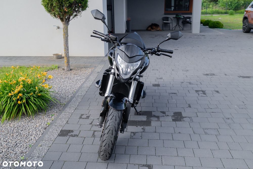 Honda Hornet - 6
