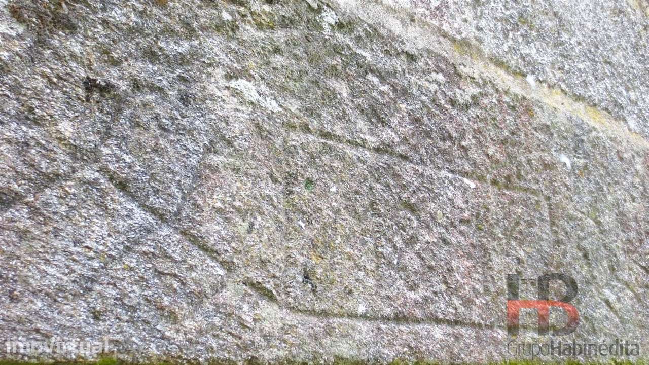 Quintinha T2 Venda em Arcozelo das Maias,Oliveira de Frades - Grande imagem: 5/18