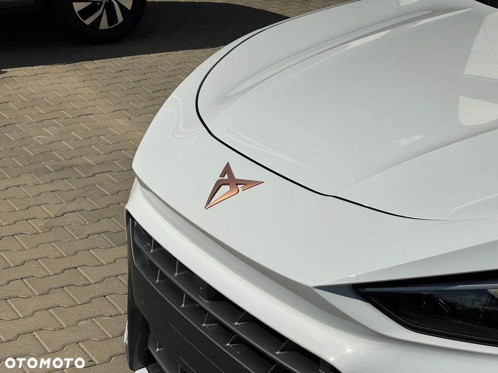 Cupra Terramar - 6