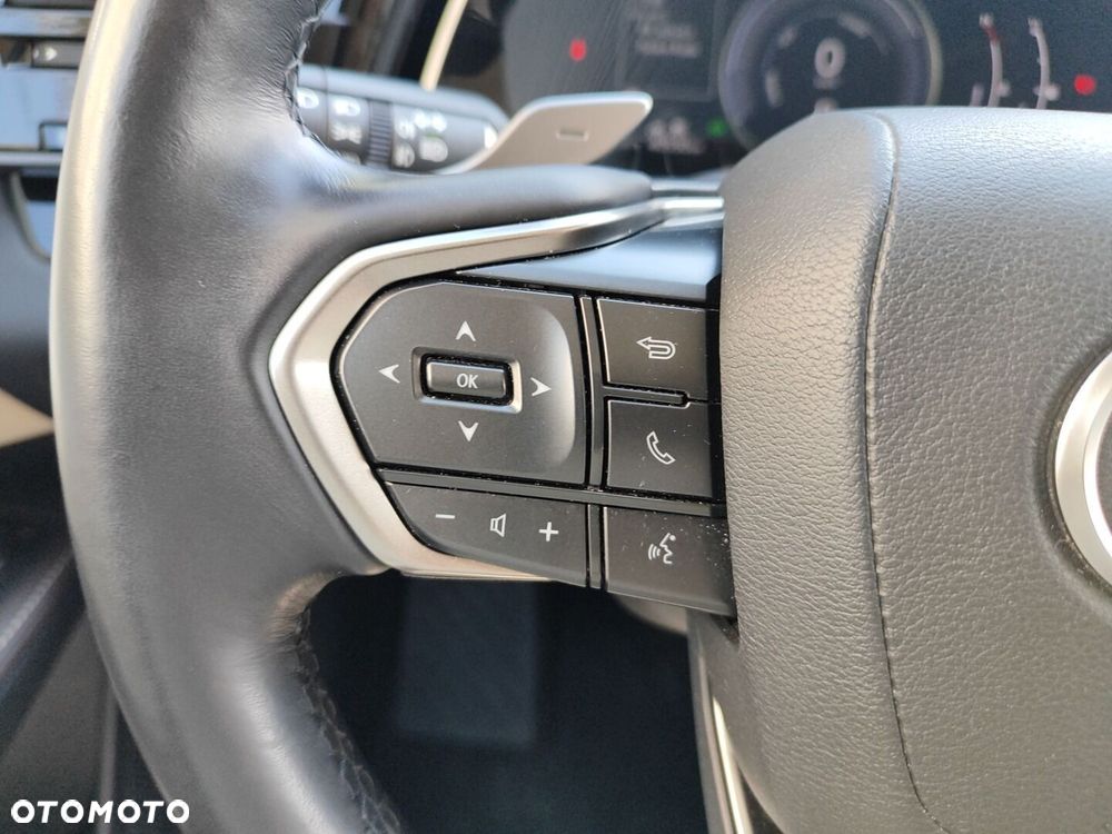 Lexus RX - 20