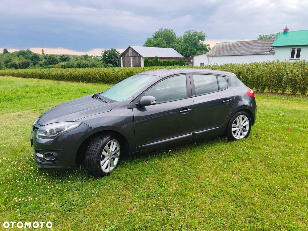 Renault Megane 1.6 16V Limited - 12