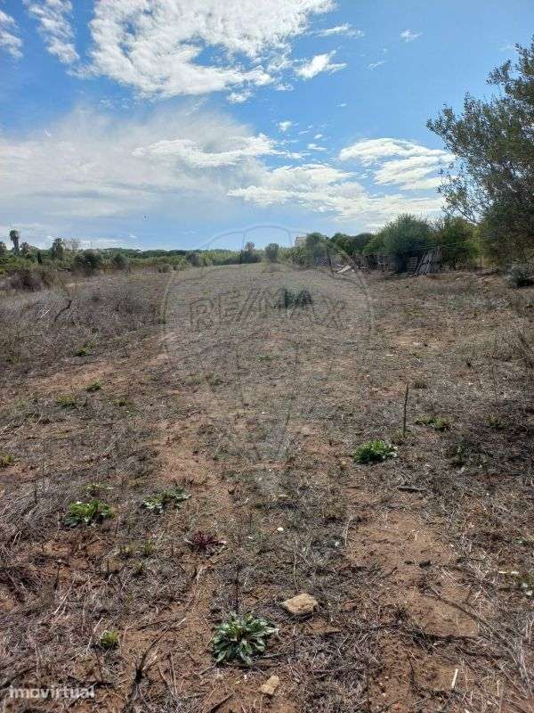 Terreno  para venda - Grande imagem: 3/6