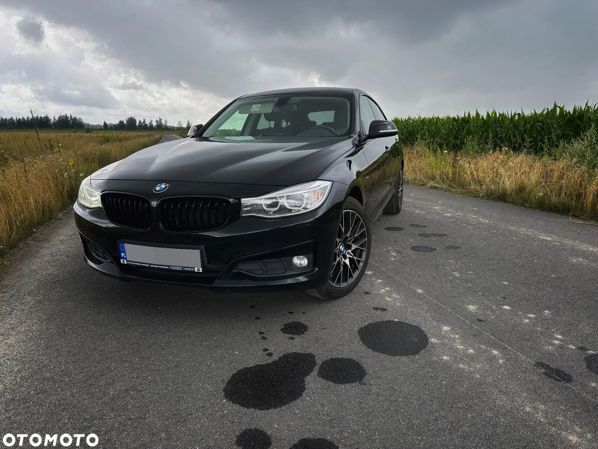 BMW 3GT - 1