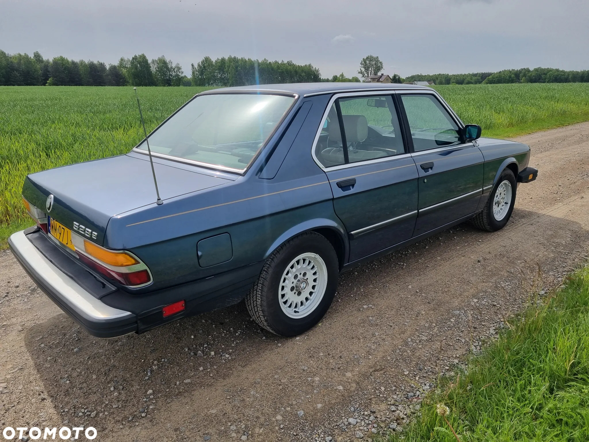 BMW Seria 5 - 7