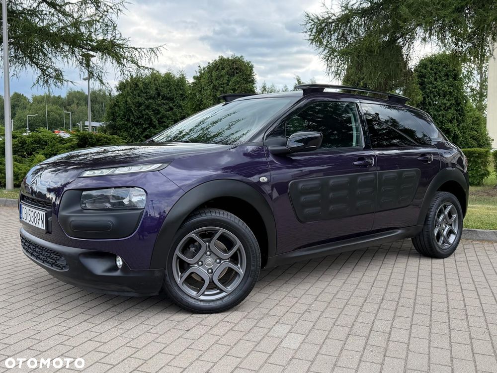 Citroën C4 Cactus PureTech 110 Stop&Start Origins - 14