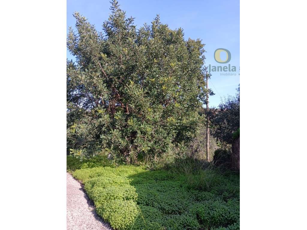 Terreno Venda Loulé - Grande imagem: 3/10