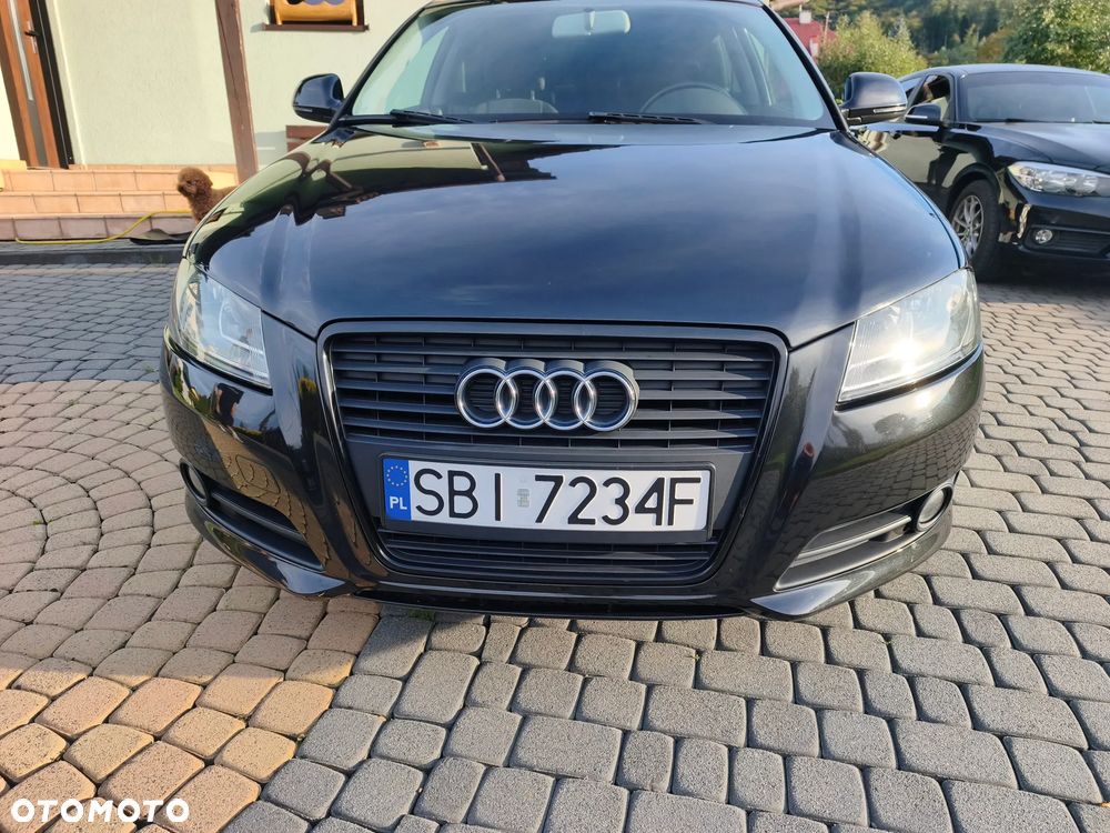 Audi A3 3-drzwiowe 1.6 Limited Edition - 20