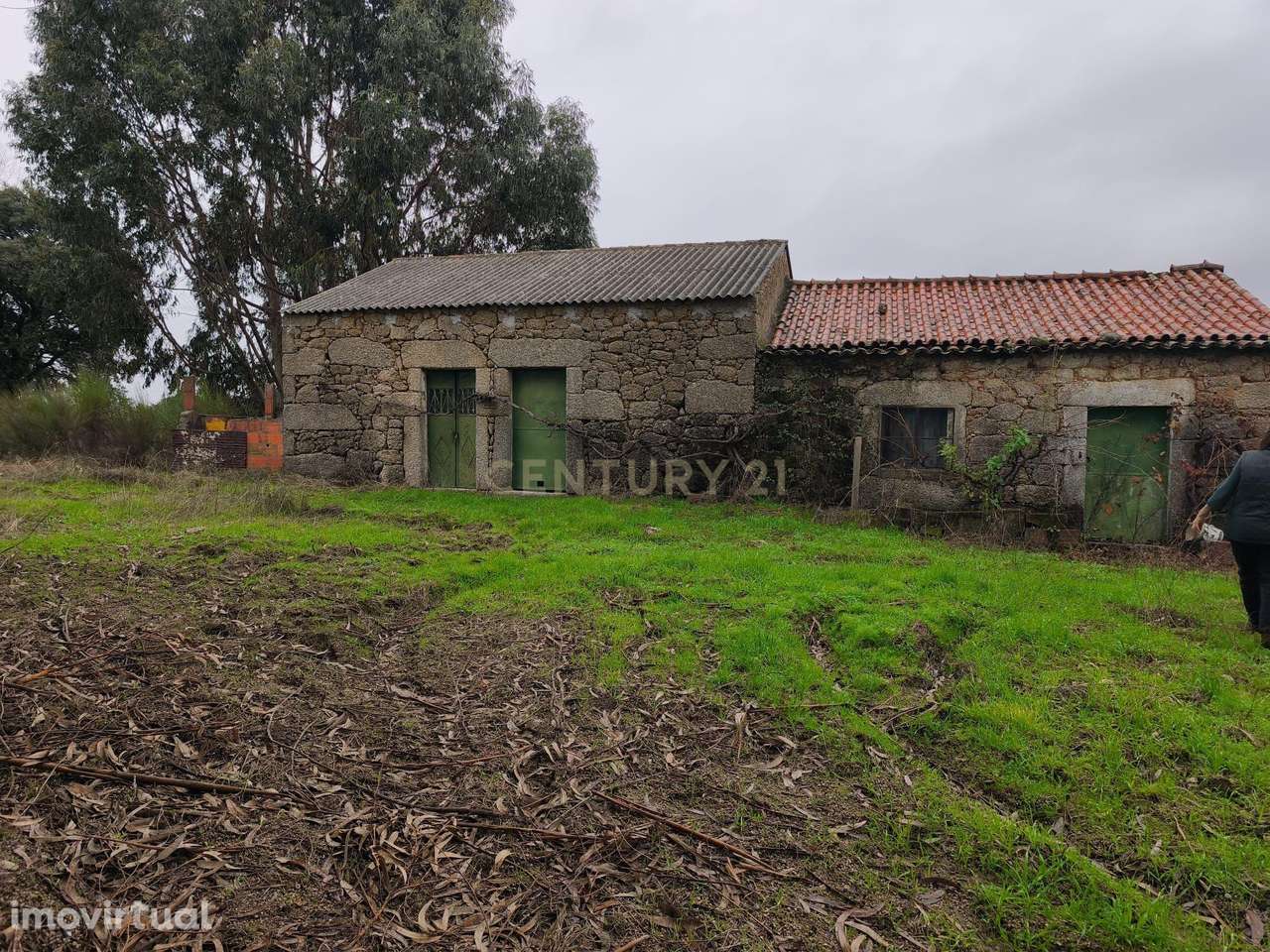 Terreno rustico com cultura arvense,montado de sobreiros, pinhal e pas - Grande imagem: 5/16
