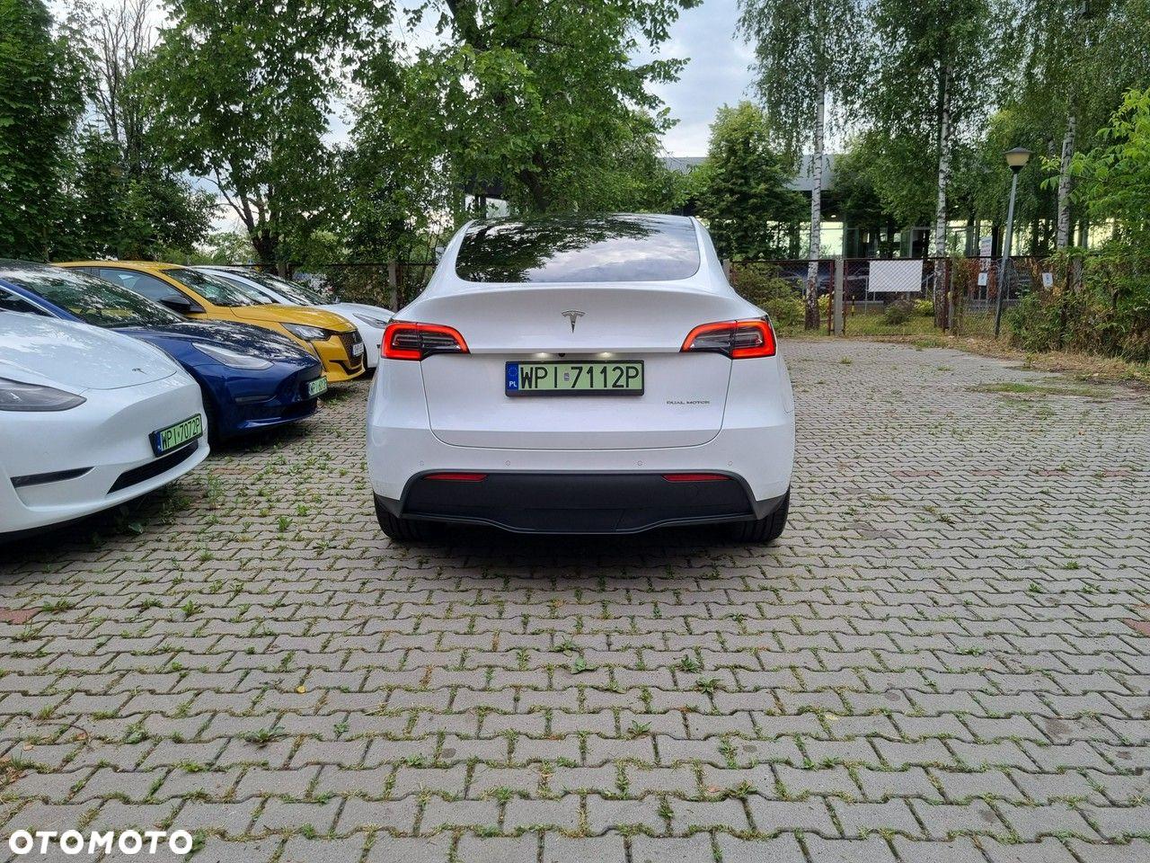 Tesla Y - 4
