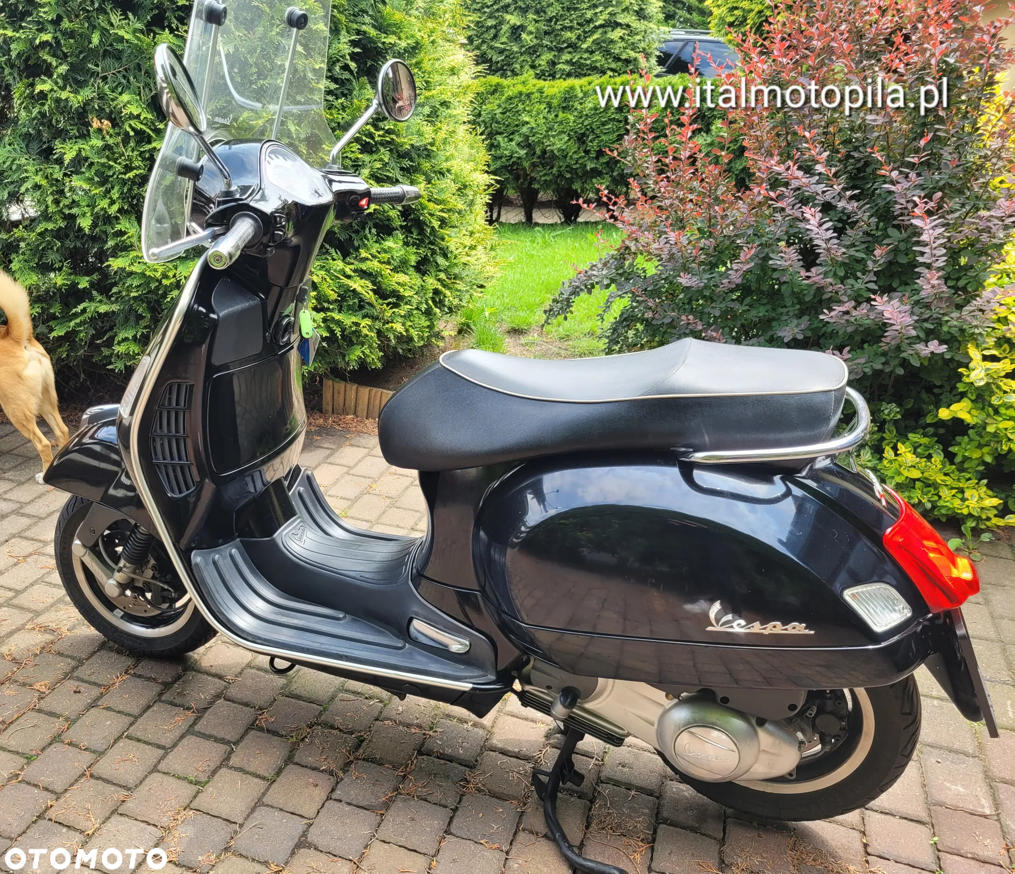 Piaggio Vespa - 17