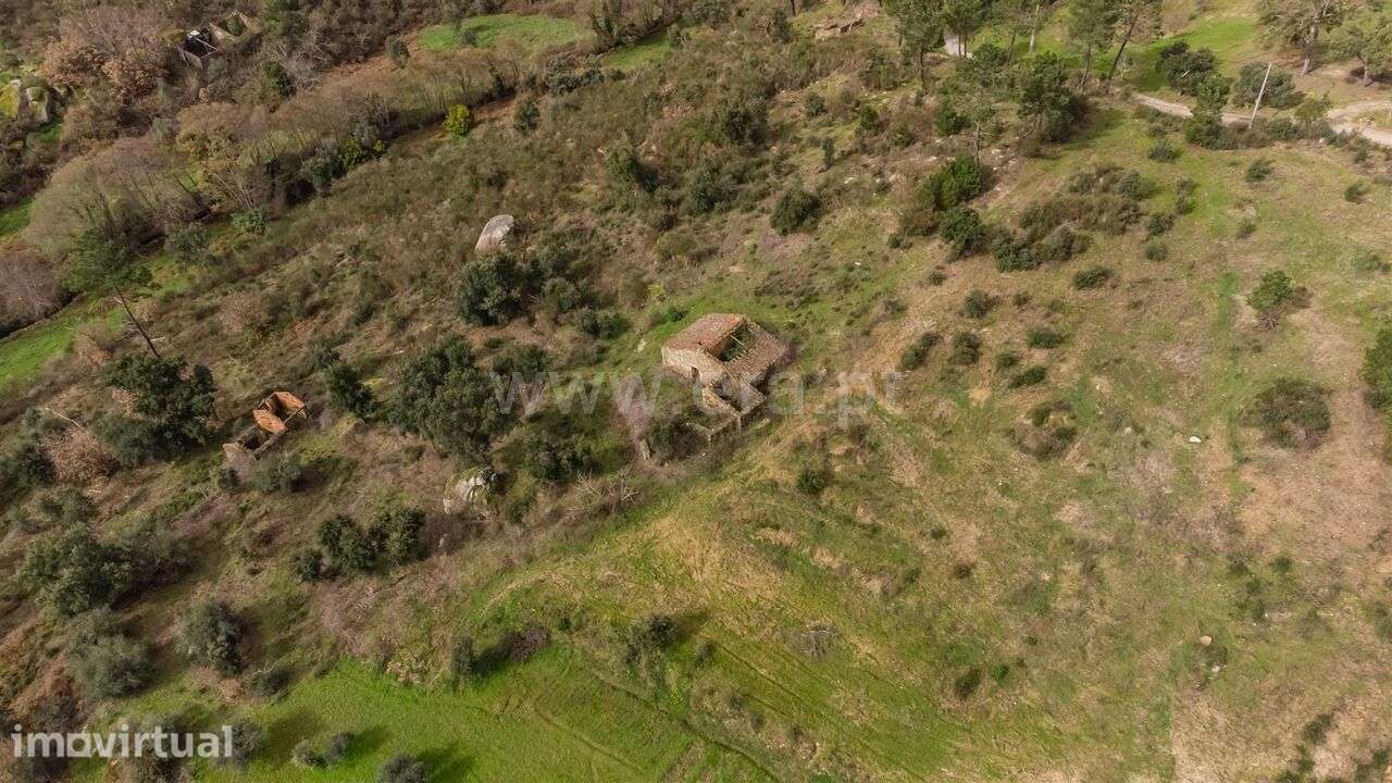 Quinta T1 / Fundão, Vale Prazeres - Grande imagem: 3/16
