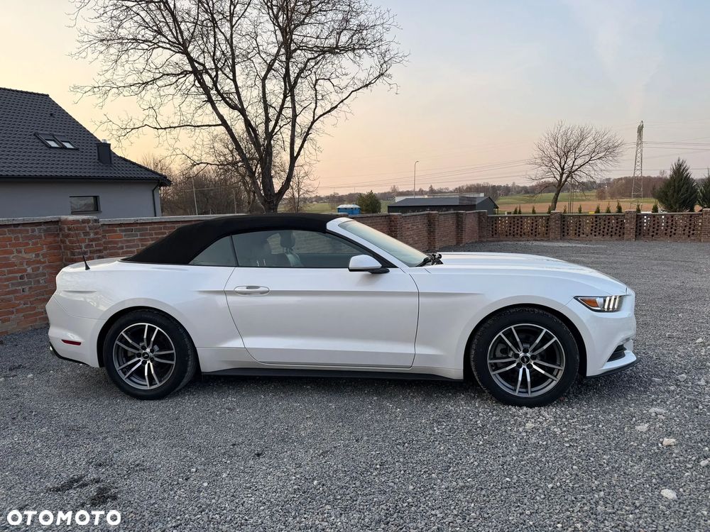 Ford Mustang 3.7 V6 - 5