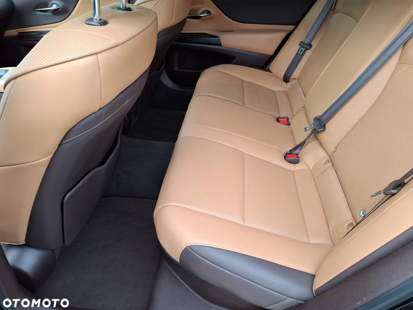Lexus ES 300h Elegance - 18