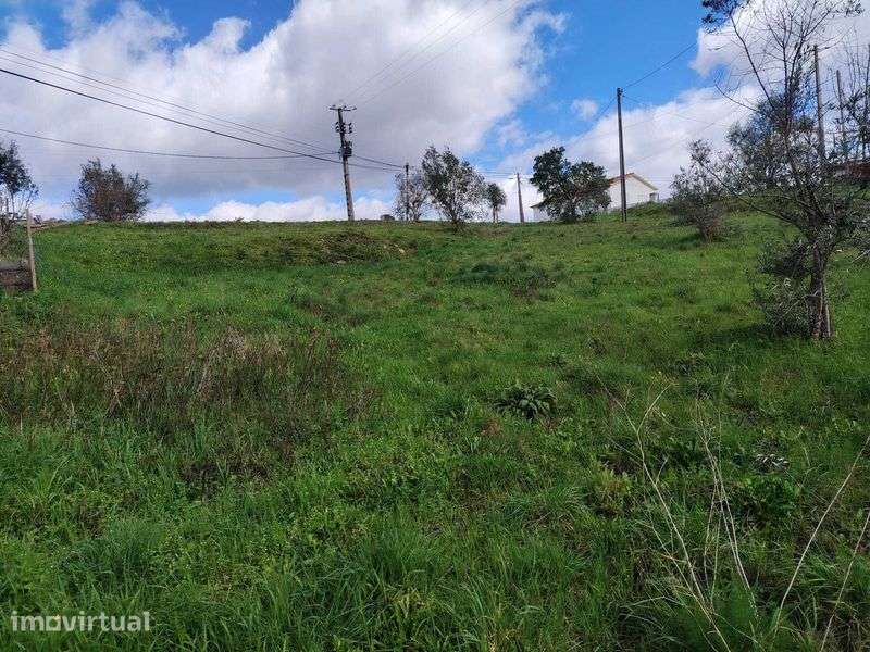 Casa com terreno - Grande imagem: 2/12