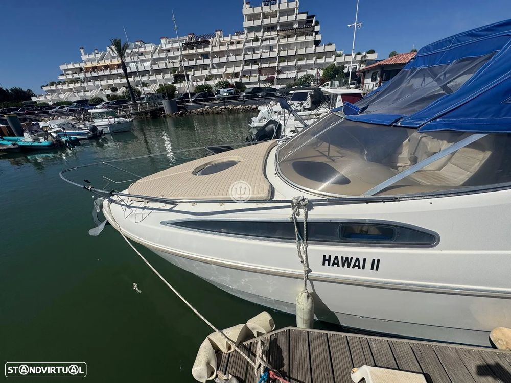 Gobbi 245 Cabin - 8