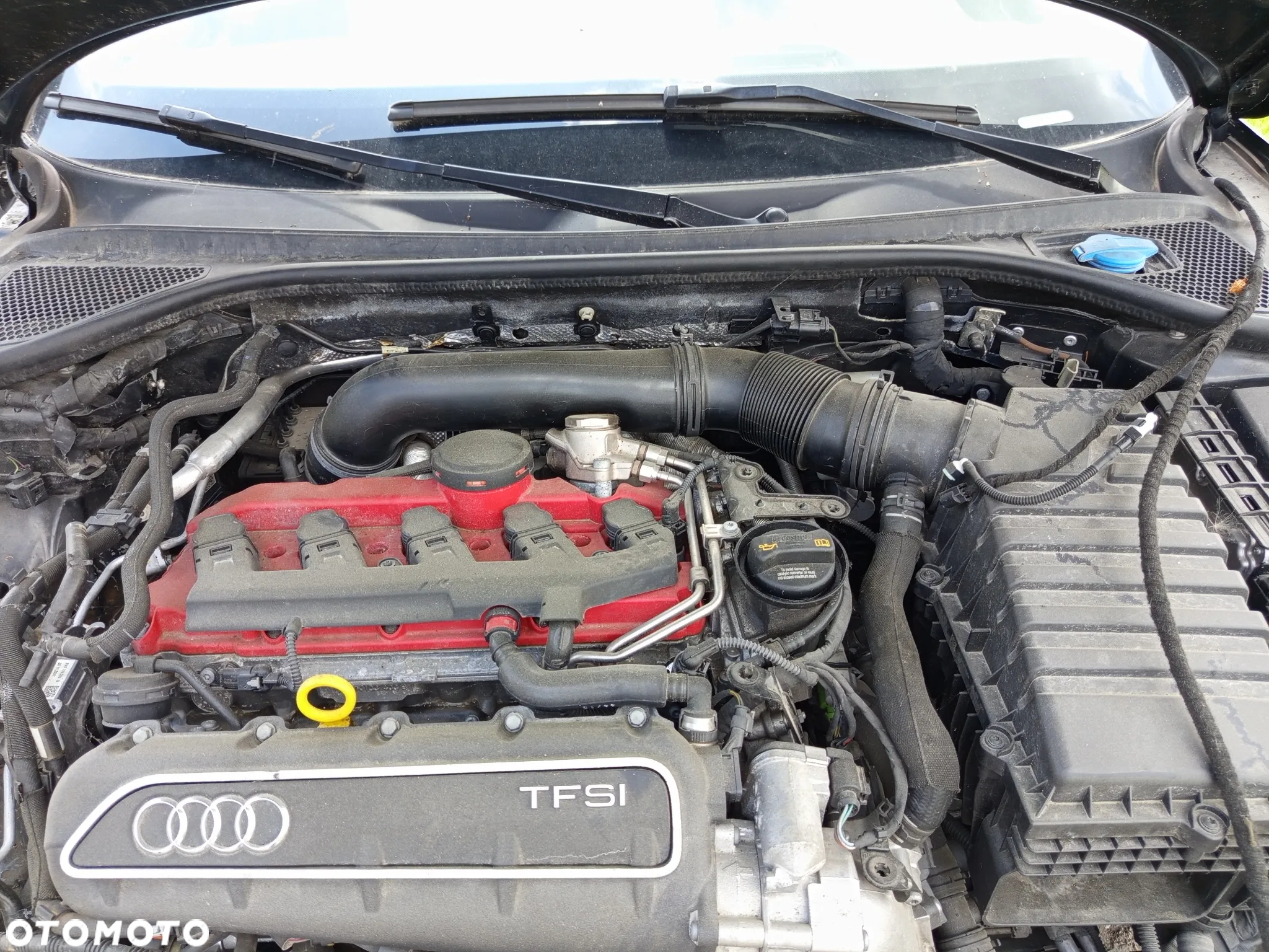 Audi RS3 Sportback S tronic - 5