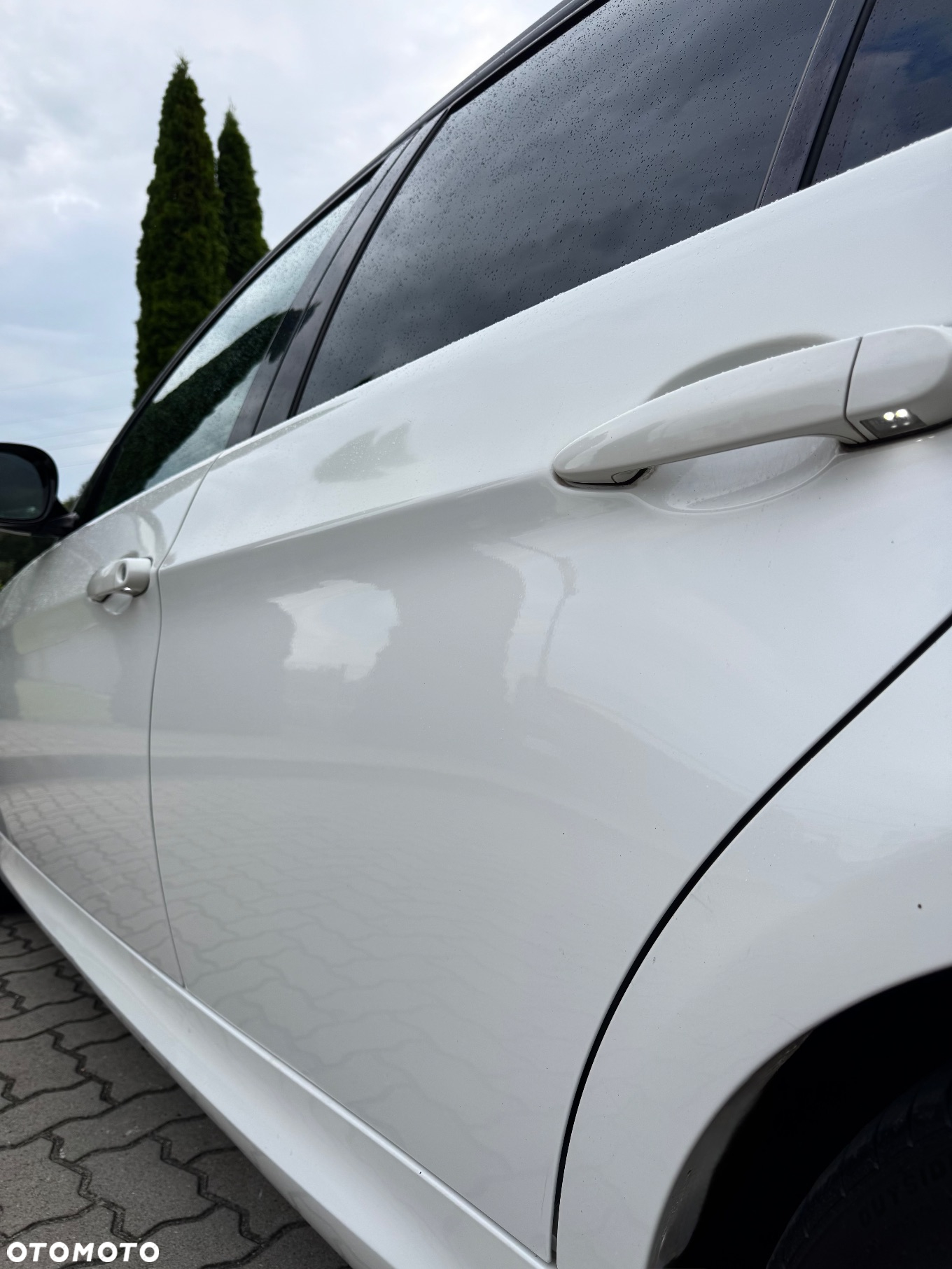 BMW Seria 3 - 31