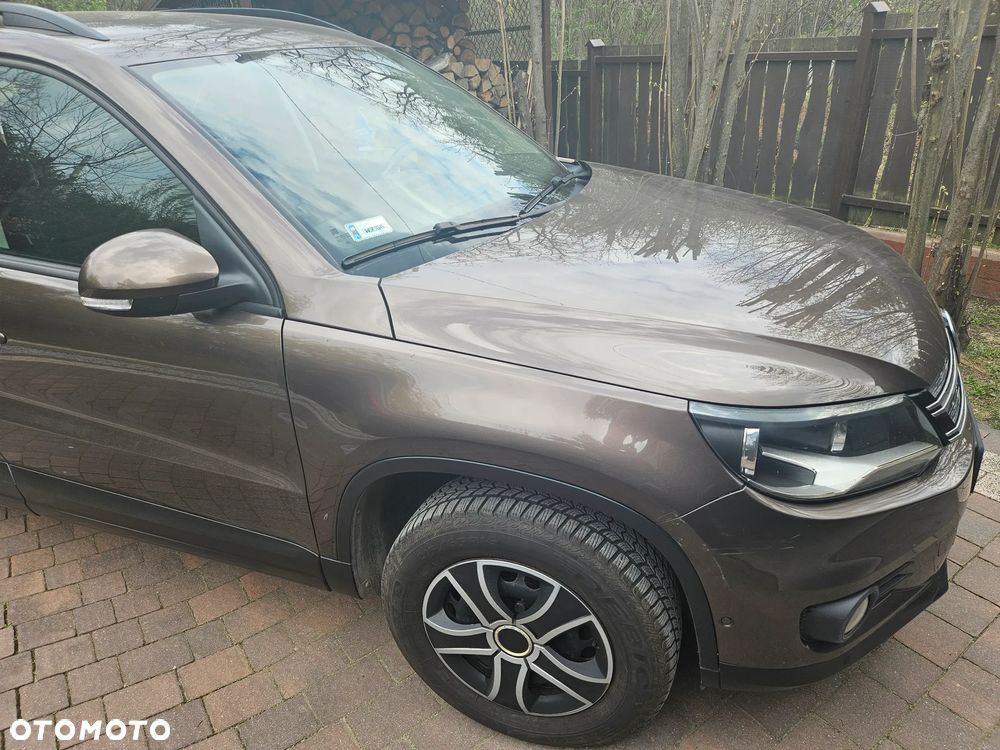 Volkswagen Tiguan - 15