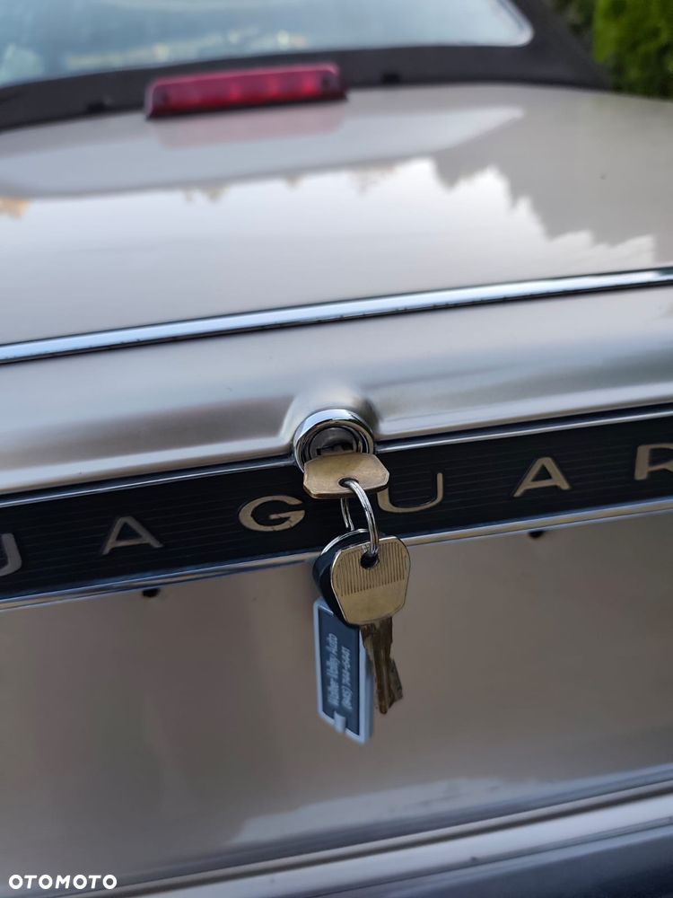 Jaguar XJS - 19