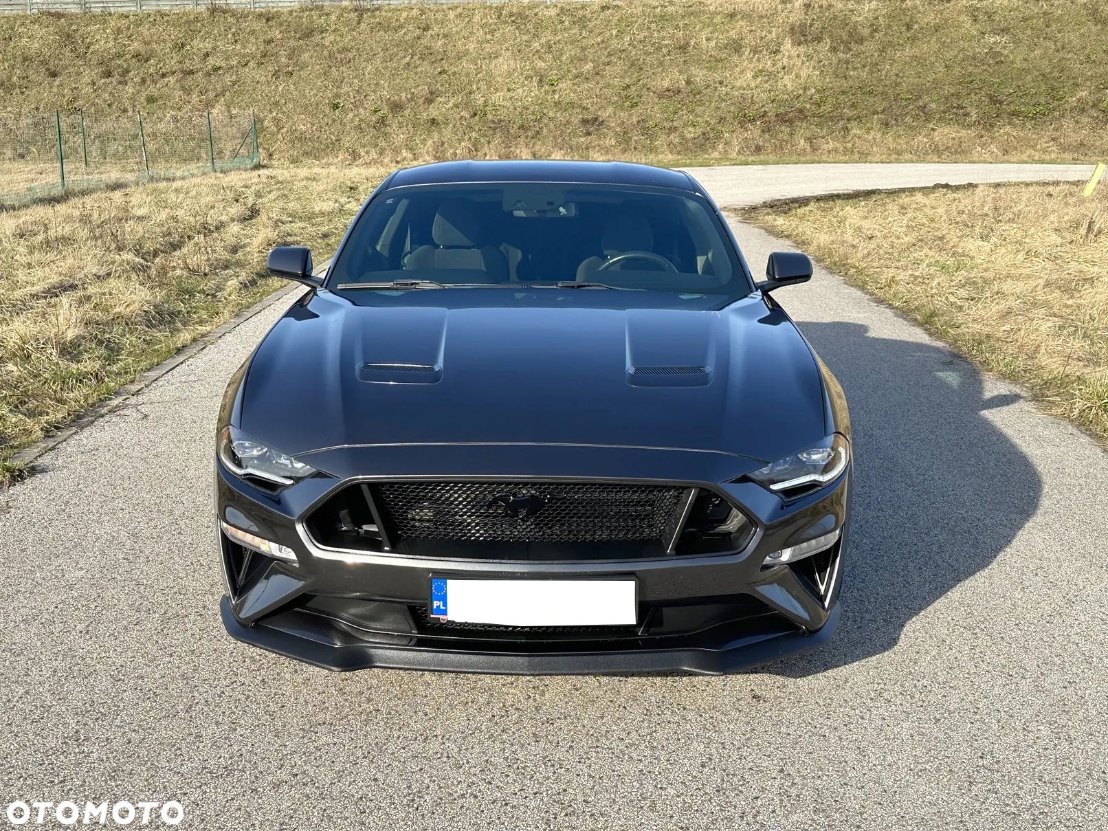 Ford Mustang - 10
