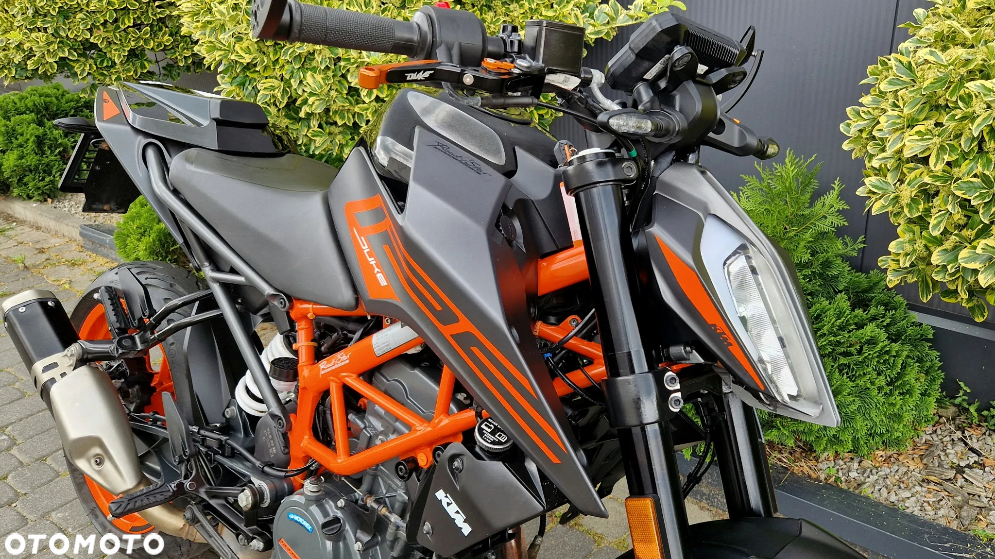 KTM Duke - 17