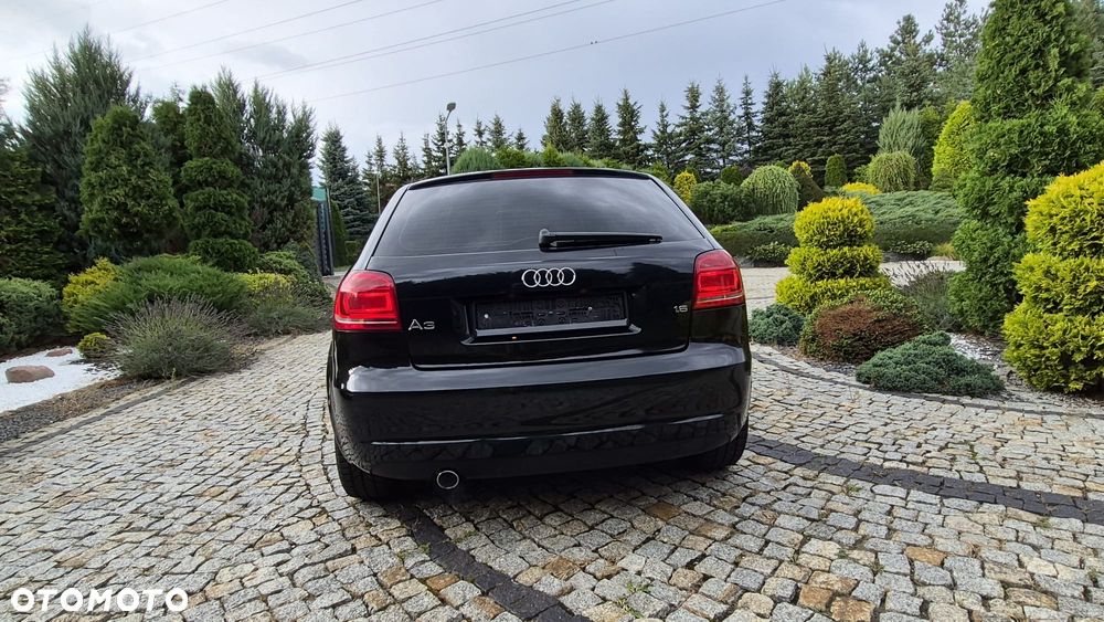 Audi A3 3-drzwiowe 1.6 Attraction - 6