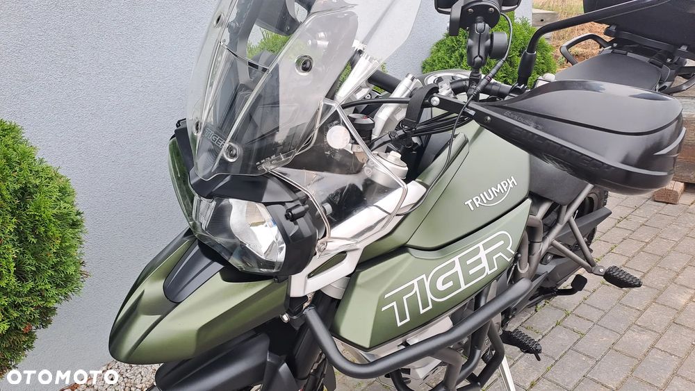Triumph Tiger - 36