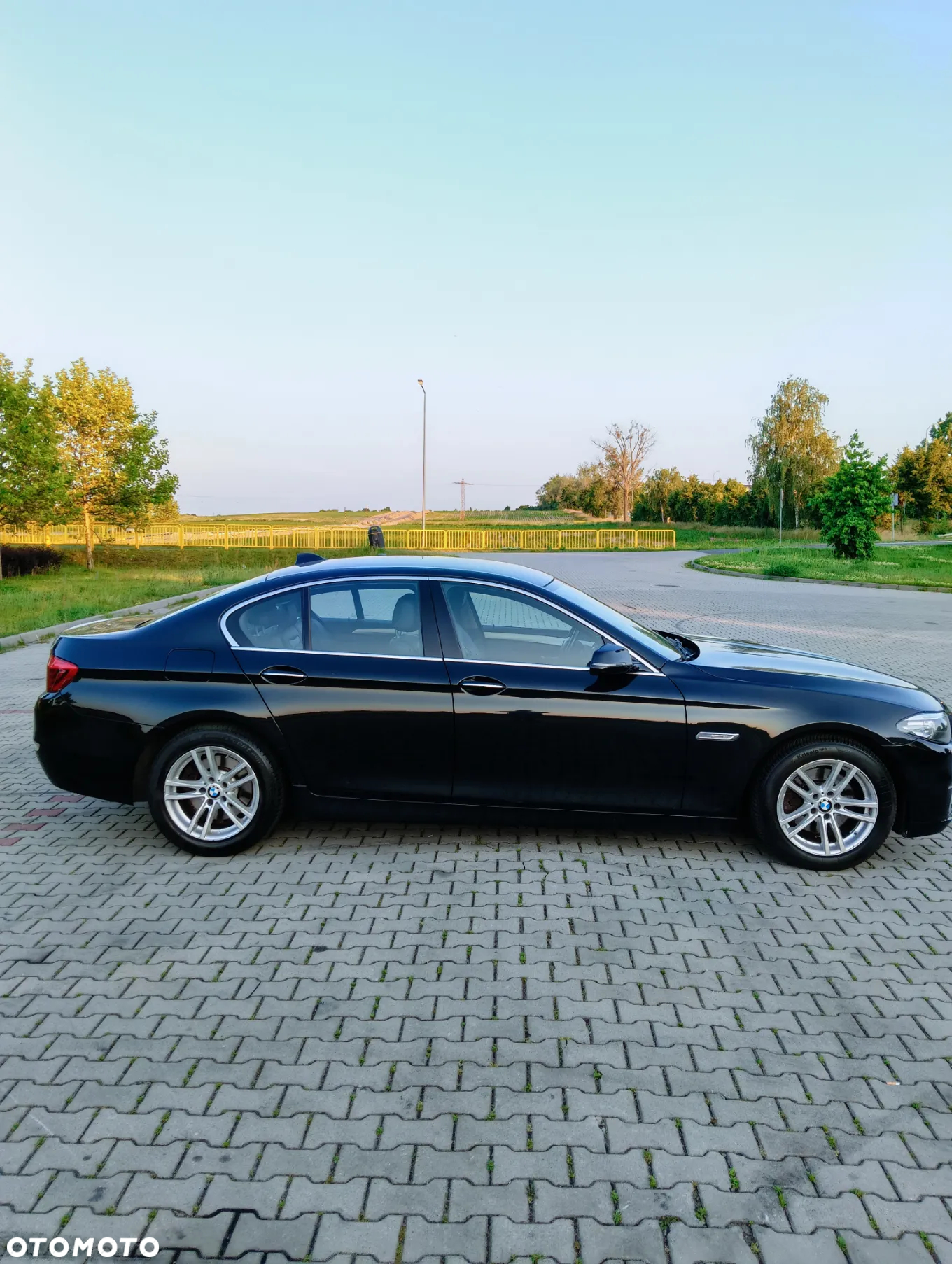 BMW Seria 5 520d Luxury Line - 2