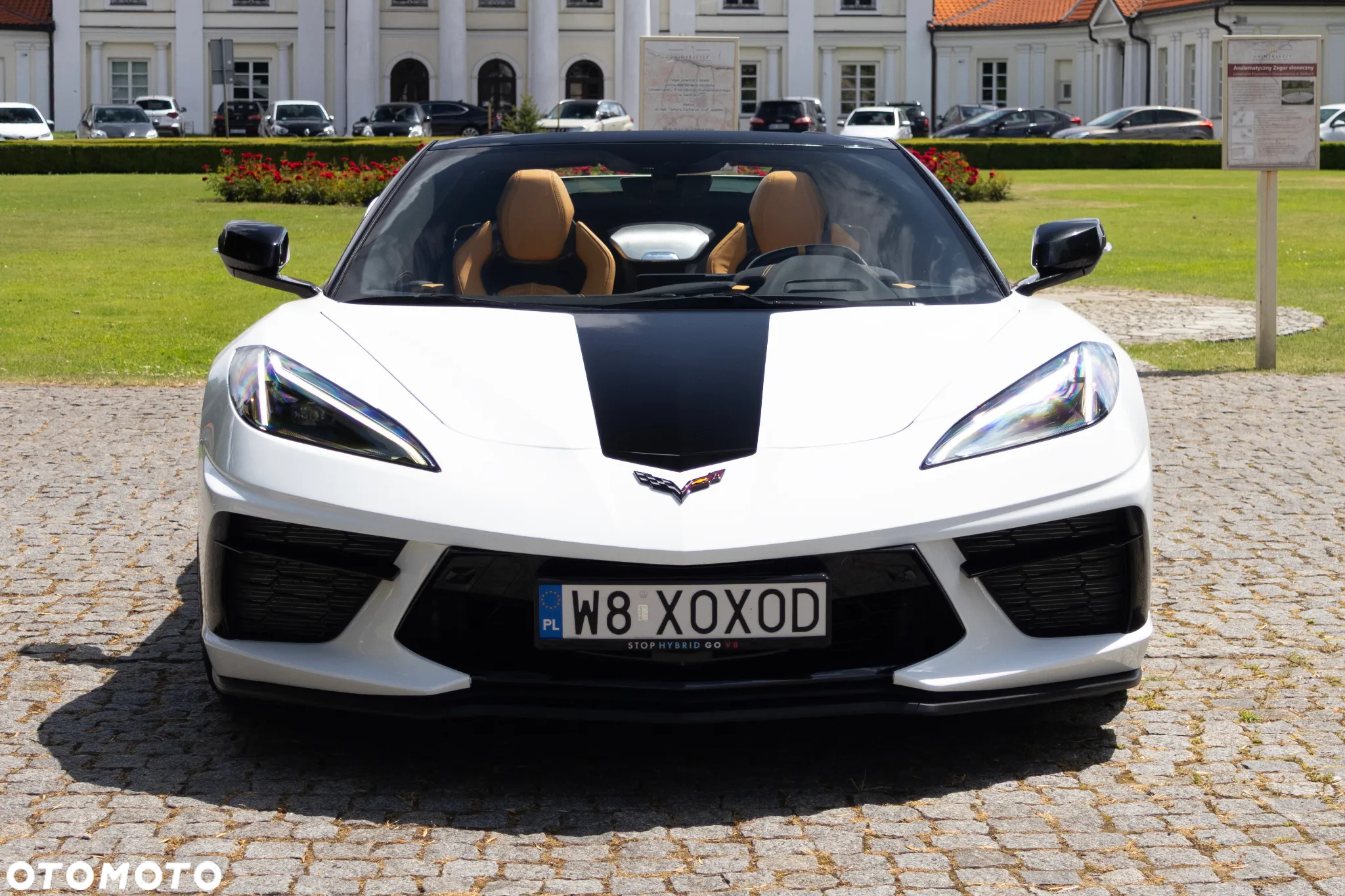 Chevrolet Corvette Stingray Cabriolet 3LT 6.2 V8 Automatik - 11