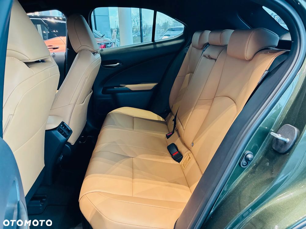 Lexus UX 300h F Sport Design - 11