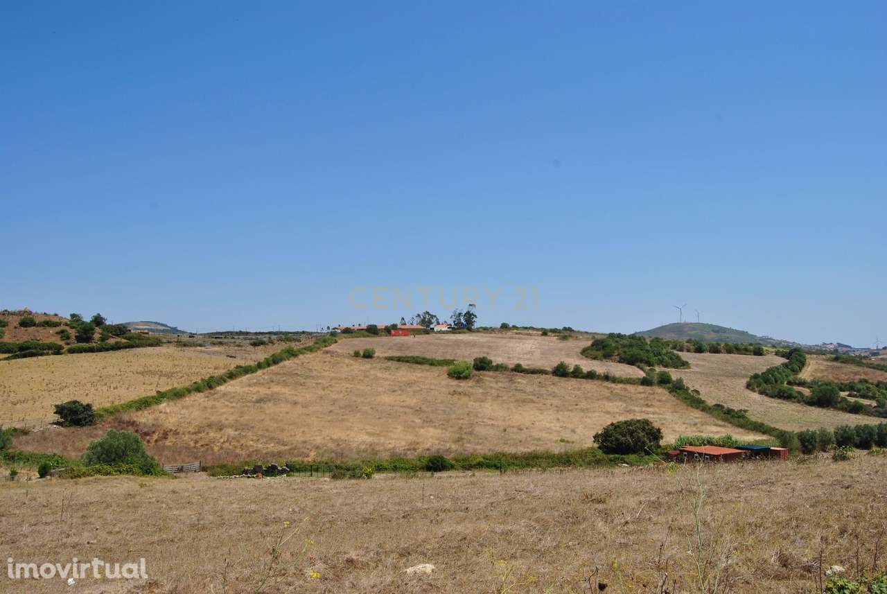 Terreno para construção em Avessada - Sto Estevão das Galés - Grande imagem: 3/18
