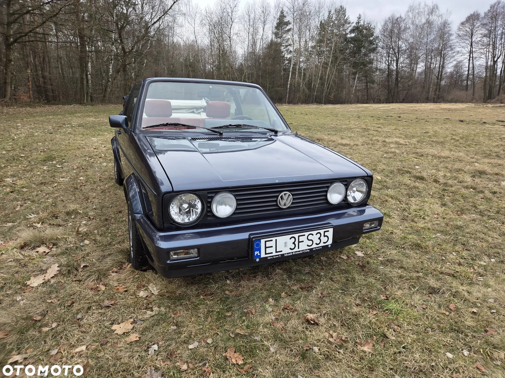 Volkswagen Golf - 10