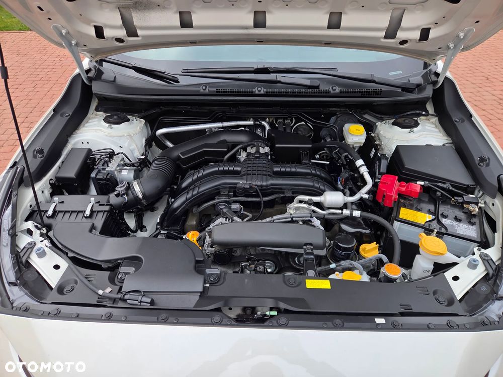 Subaru Crosstrek - 19