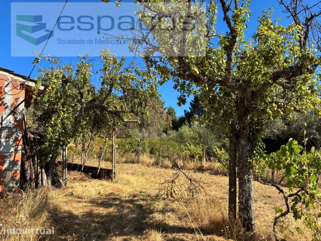 Bela quinta na vila do Paul - Grande imagem: 5/38