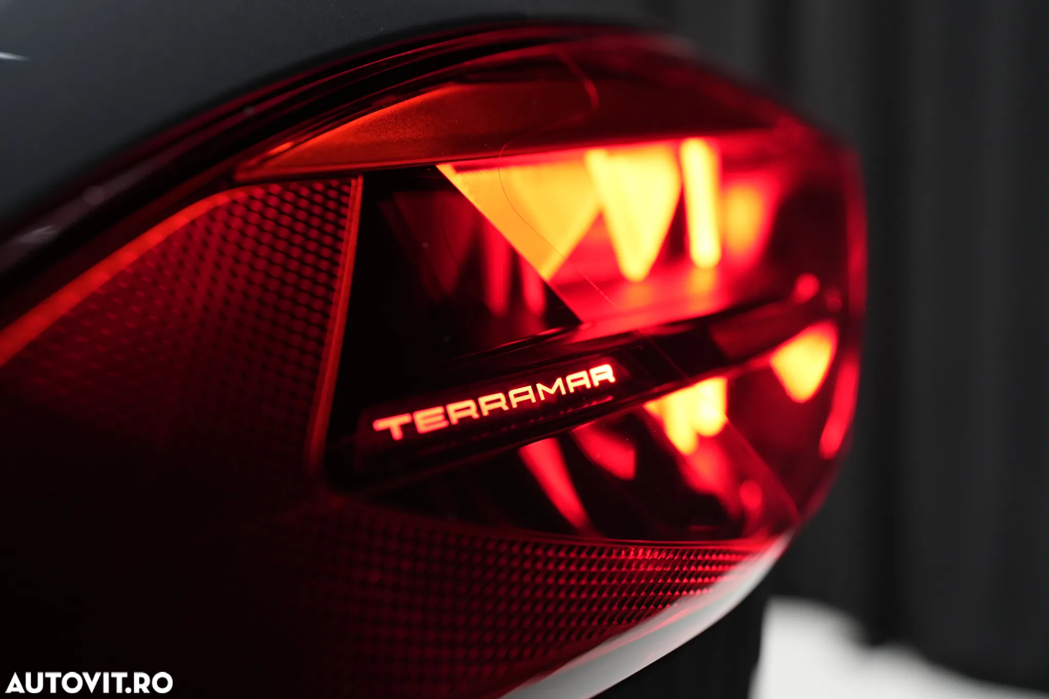 Cupra Terramar - 9