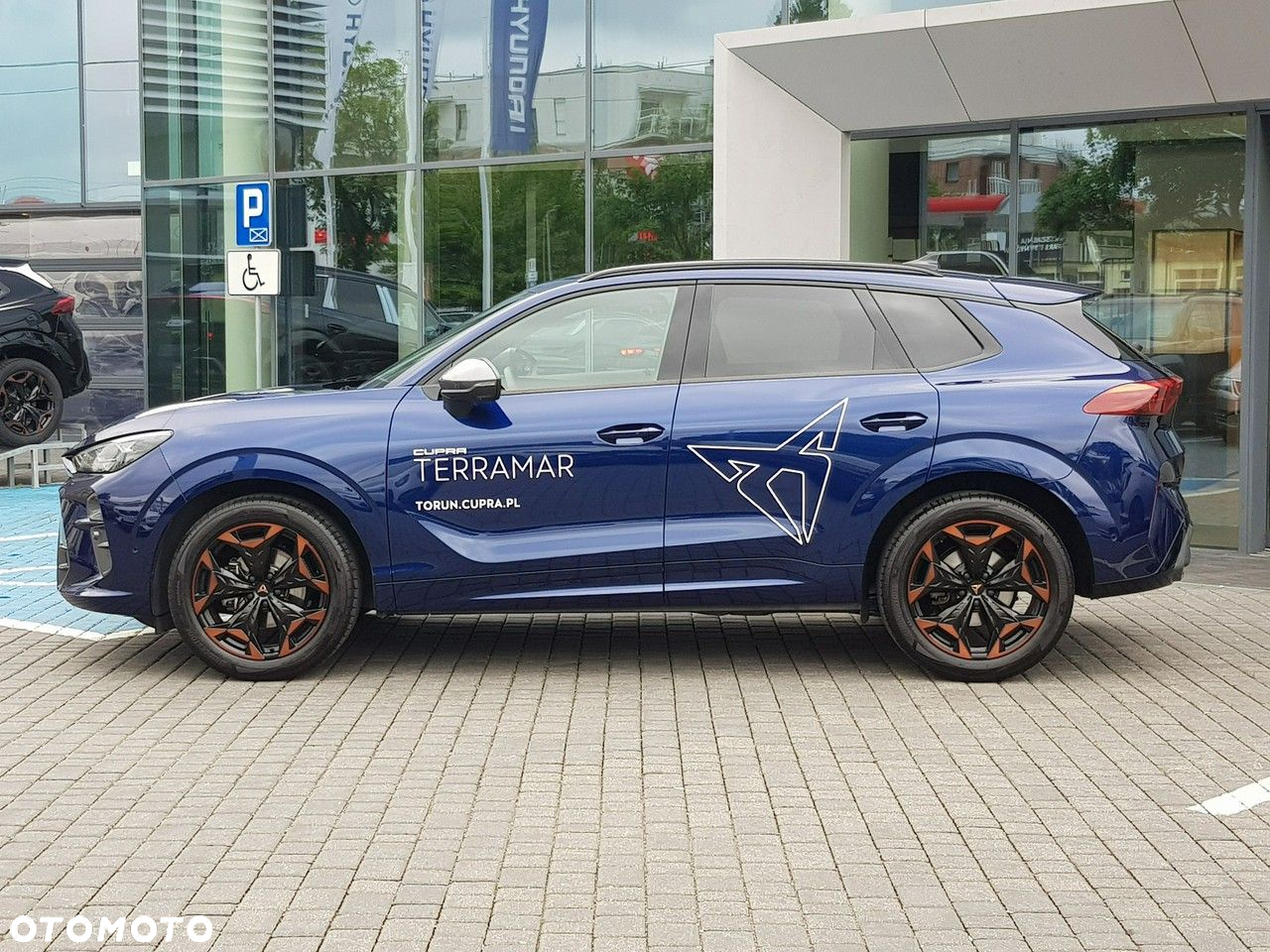 Cupra Terramar - 3