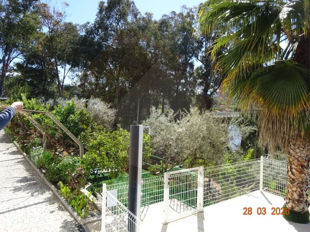 QUINTA - BARCA D'ÁLVA - Grande imagem: 4/34