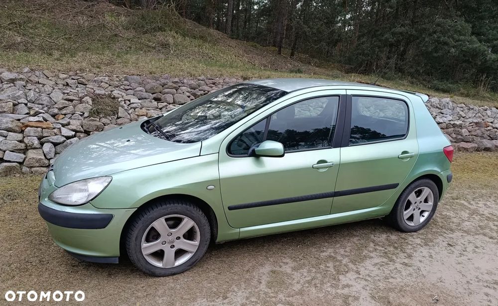 Peugeot 307 1.6 - 5