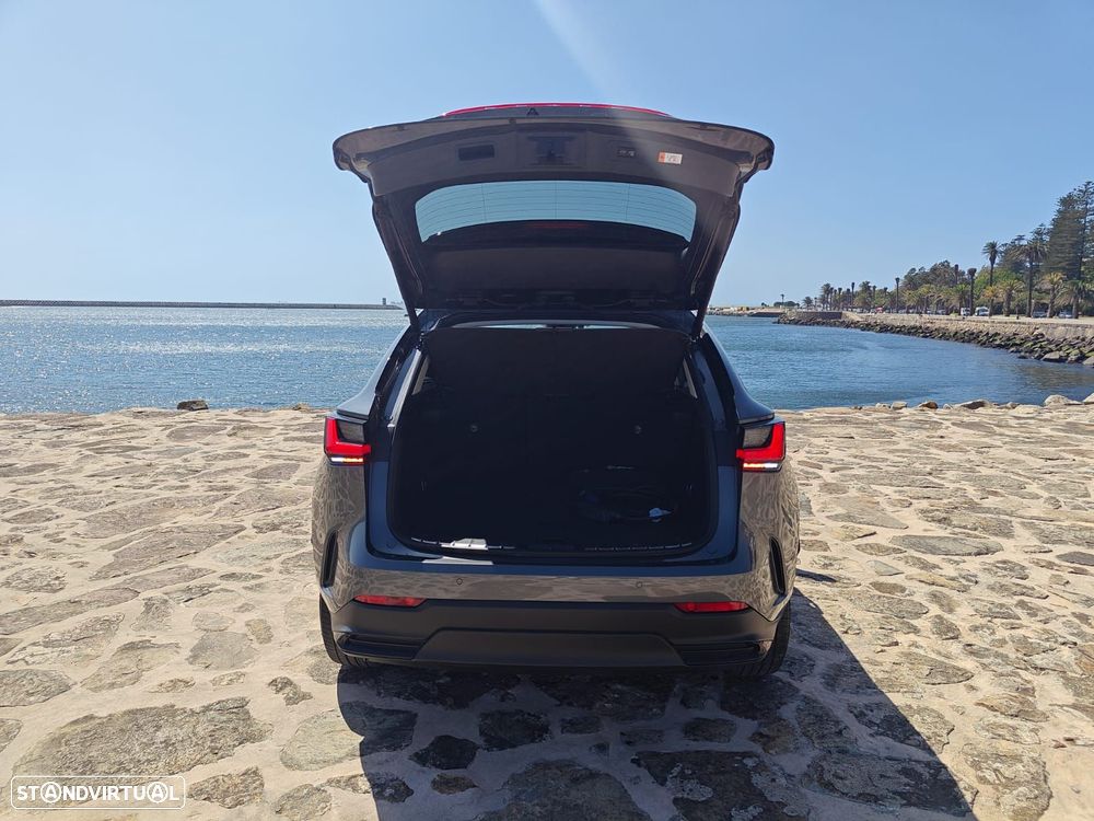 Lexus NX 450h+ Executive - 11