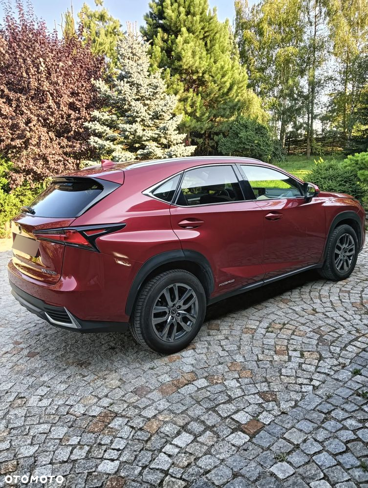 Lexus NX ver-300h-business-edition-awd - 18