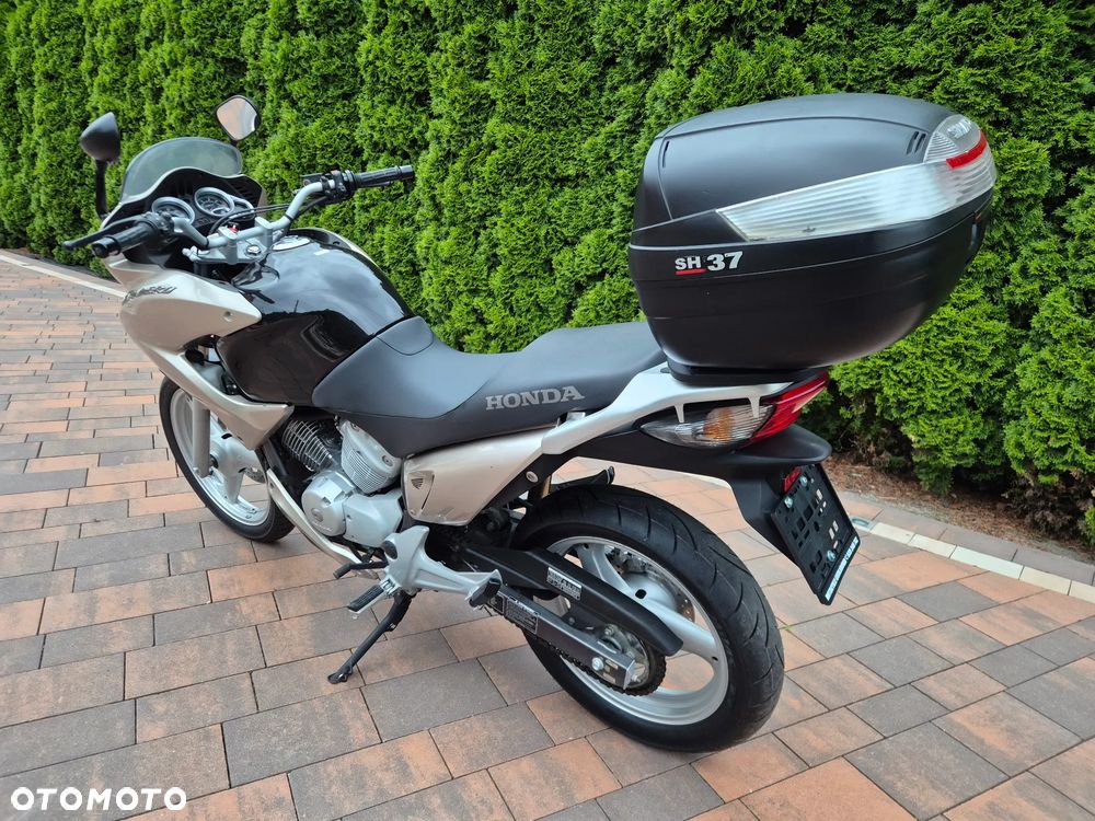 Honda Varadero - 3