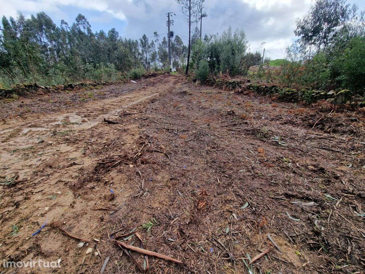 Fantastico Terreno em Lobão - Grande imagem: 3/3