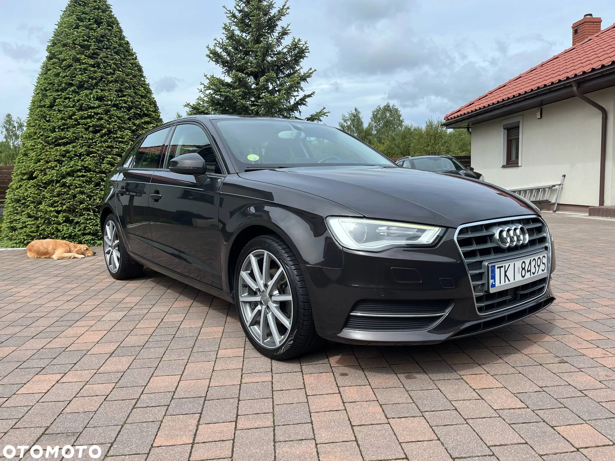 Audi A3 1.6 TDI Attraction S tronic - 6