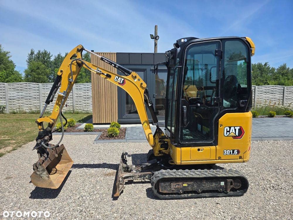 Caterpillar - 1